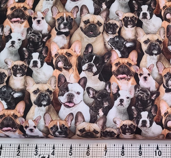 Elizabeth Studios Best Friend French Bulldogs 687 Fabric by the Yard piece Etsy