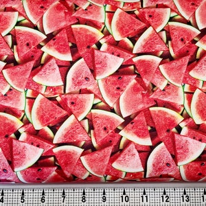 Windham Fabrics A La Carte Watermelon 51893D Fabric by the Yard//Piece