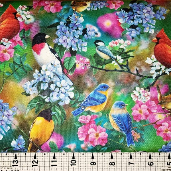 Quilting Treasures 27785-G Songbirds Fabric by the yard