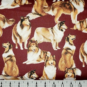 Timeless Treasures Collies C1031 Fabric by the Yard//Piece