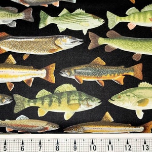 Timeless Treasures Freshwater Fish on Black C6405/CD6405 Fabric by the Yard//Piece