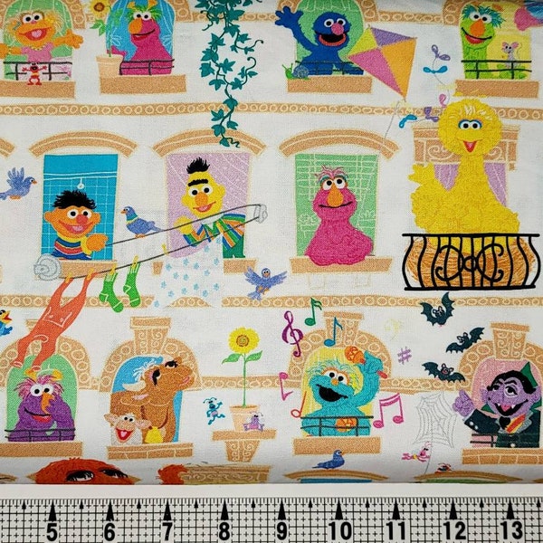 Quilting Treasures Sesame Street Character Windows 1649-27537-Z Fabric by the Yard//Piece