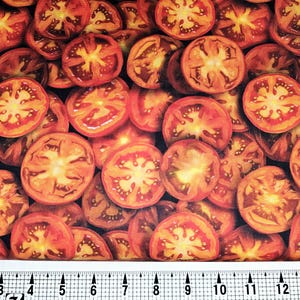 Windham Fabrics A La Carte Tomato 54401D-1 Fabric by the Yard//Piece