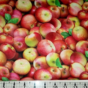 Elizabeth Studio Food Festival Apples 641 Fabric by the Yard//Piece