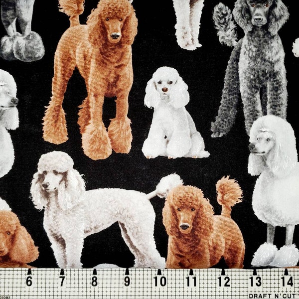 Timeless Treasures Poodle Dog C7527 Fabric by the Yard/Piece