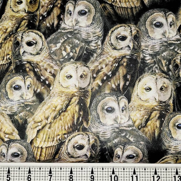 Quilting Treasures Nocturnal Wonders Owls 1649-27066-J Fabric by the Yard/Piece