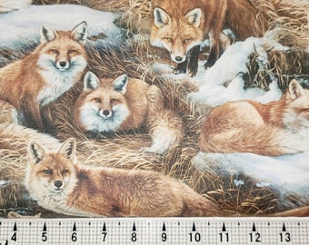 Watercolor Tee Women/'s Image by Shutterstock Amazing Red Fox