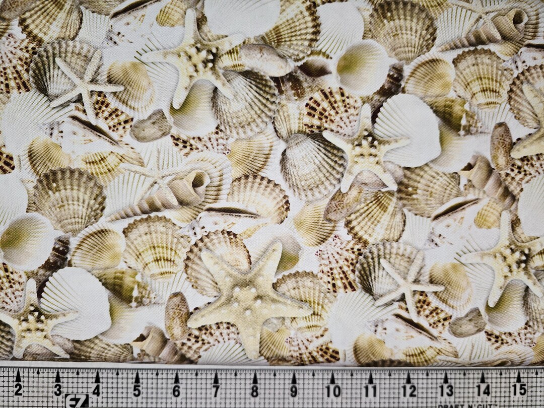 Timeless Treasures Packed Shells CD3973 Fabric by the Yard//piece - Etsy
