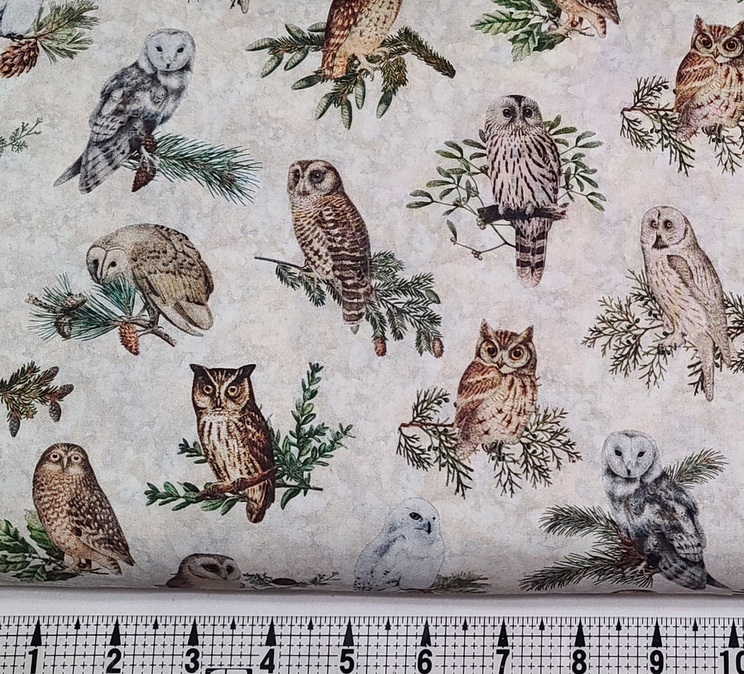 Quilting Treasures Winterhaven Owls on Cream 2600-29899-E Fabric by the ...