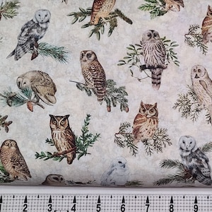Quilting Treasures Winterhaven Owls on Cream 2600-29899-E Fabric by the Yard//Piece