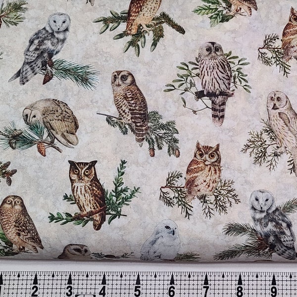 Quilting Treasures Winterhaven Owls on Cream 2600-29899-E Fabric by the Yard/Piece