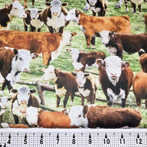 Timeless Treasures Hereford Cows CD3341 Fabric by the Yard//Piece