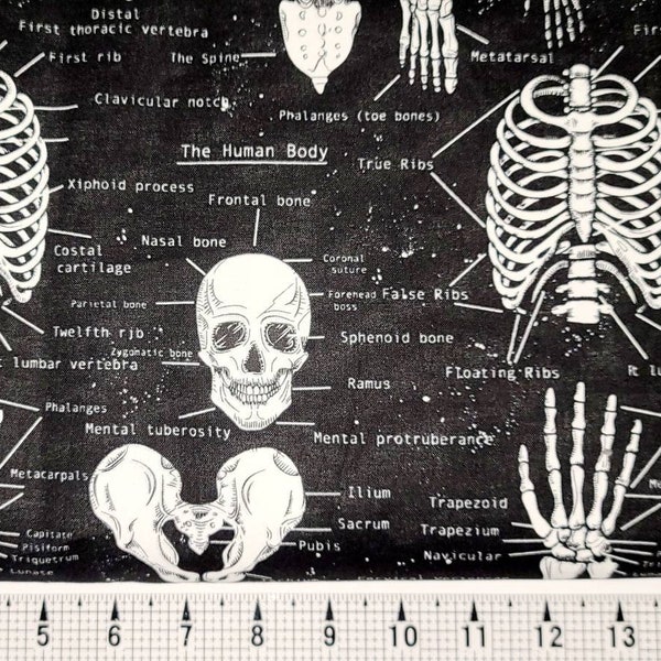 Timeless Treasures Glow in the Dark Skeletons on Black CG9810 Fabric by the Yard/Piece