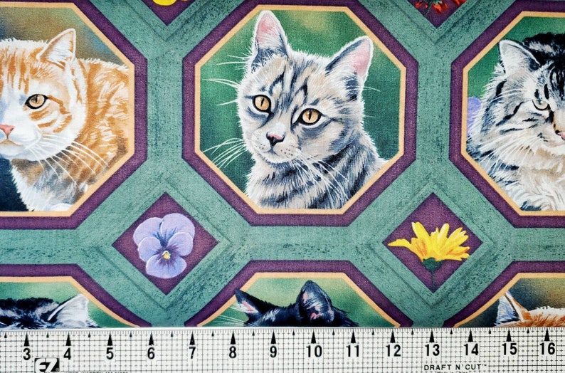 Springs Creative Cat Nap Cat Frames CP35573 Fabric by the Yard//piece ...