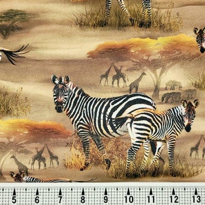 Quilting Treasures Zebra Sunset 1649-29238-A Fabric by the Yard//Piece