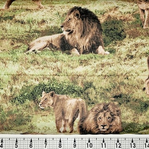 Fabri Quilt Born Free Lion 112-31911 Fabric by the Yard//Piece