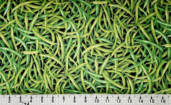 Paintbrush Studios Farmer John Green Beans 120-13251 Fabric