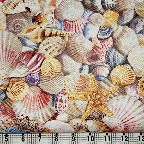 Timeless Treasures Beach Seashells C8460 Fabric by the Yard/Piece