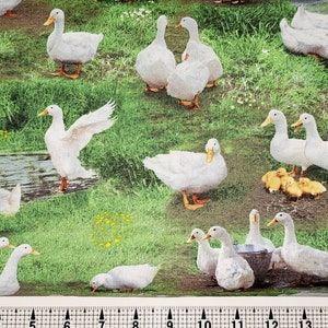 Elizabeth Studios Farm Animals Ducks 651 Fabric by the Yard//Piece