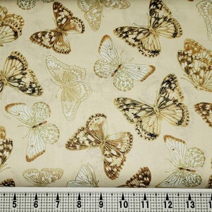 Kanvas Fabrics Forever Butterflies 4911 Stoff Meterware//Stück