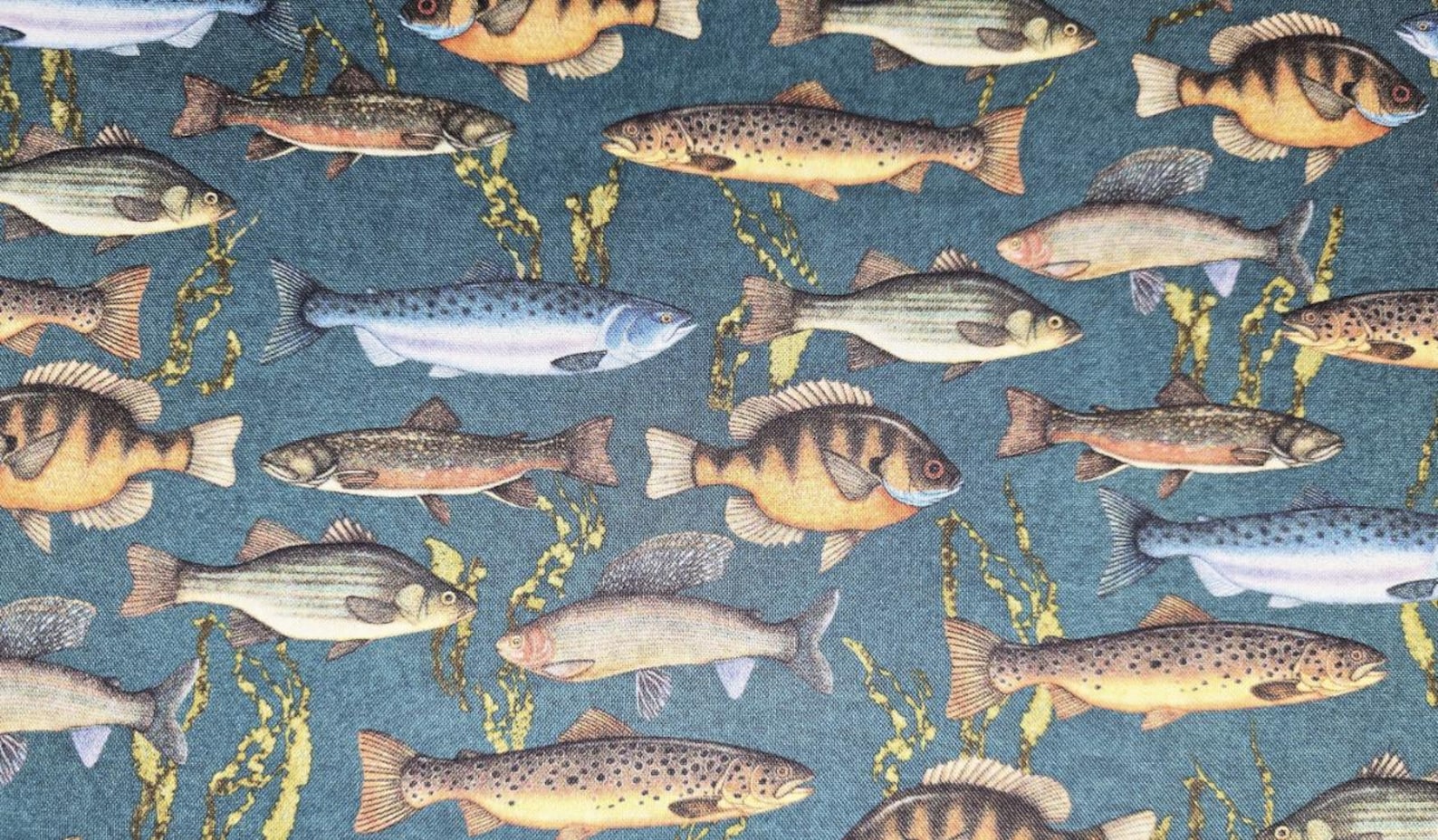 MDG Fabrics A Good Catch Fish on Teal Fabric by the Yard//piece - Etsy