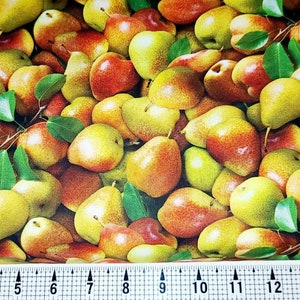 Elizabeth Studios Food Festival Pears 622 Fabric by the Yard//Piece