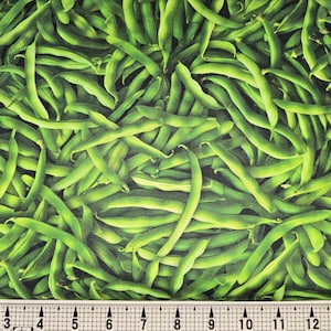 Windham Fabrics A La Carte Beans 54405D-1 生地 1 ヤードあたり//枚