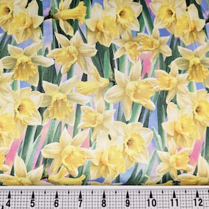 Timeless Treasures Yellow Daffodil CD3253 Fabric by the Yard//Piece