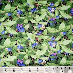 Elizabeth Studios Berry Good Blueberries 151 Fabric by the Yard/Piece