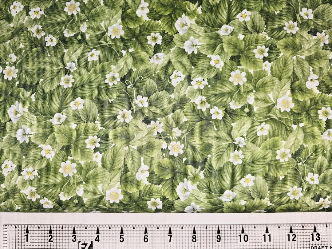 Timeless Treasures Strawberry Leaves CD3410 Fabric by the Yard//piece ...