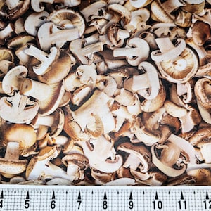 Windham Fabrics A La Carte Mushrooms 54403D-1 Fabric by the Yard//Piece