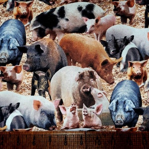 Elizabeth Studios Pigs 431 Fabric by the Yard//Piece