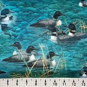 Quilting Treasures Lakeside Loons Scenic on Teal 1649-29699-Q Fabric by the Yard//Piece