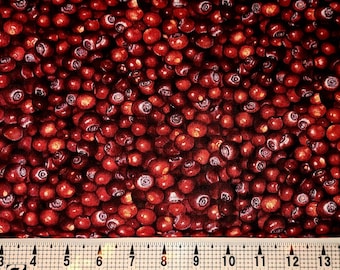 Cranberries Fabric by the Yard//Piece