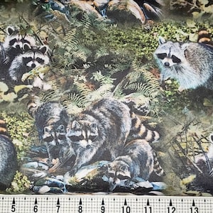 Springs Creative Masked Bandits Raccoons CP53283 Fabric by the Yard//Piece