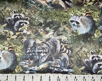 Springs Creative Masked Bandits Raccoons CP53283 Fabric by the Yard/Piece