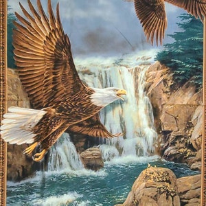 Tessuto Springs Creative Eagles CP32877 a pannelli 35 x 44