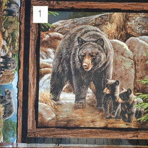 Springs Creative Cool Waters Bear Pillow Panel 15-1/2&quot;