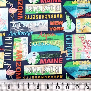Blank Quilting Stateside States 2114 Fabric by the Yard//Piece
