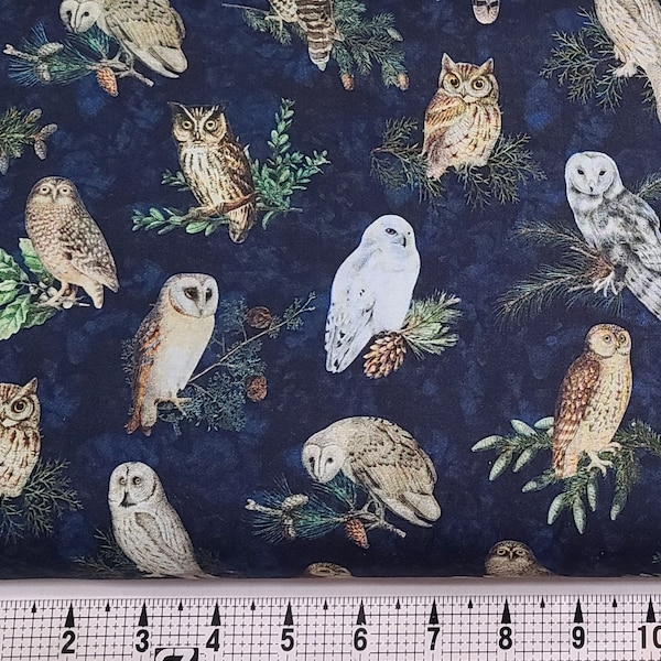 Quilting Treasures Winterhaven Owls on Navy 2600-29899-N Fabric by the Yard/Piece