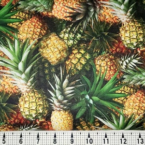 Windham Fabrics A La Carte Pineapple 51895D Fabric by the Yard//Piece