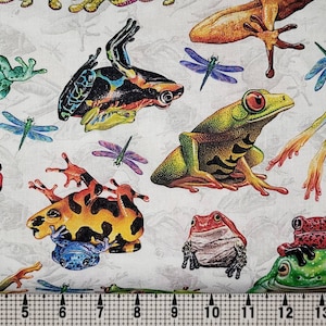 Studio E Fabrics Jewels of the Jungle Frogs 5564 Fabric by the Yard//Piece