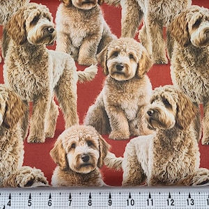 David Textiles Labradoodle DX-4295-3C Fabric by the Yard//Piece