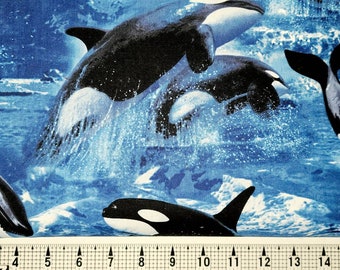 Timeless Treasures Killer Whales C7837 Fabric by the Yard/Piece