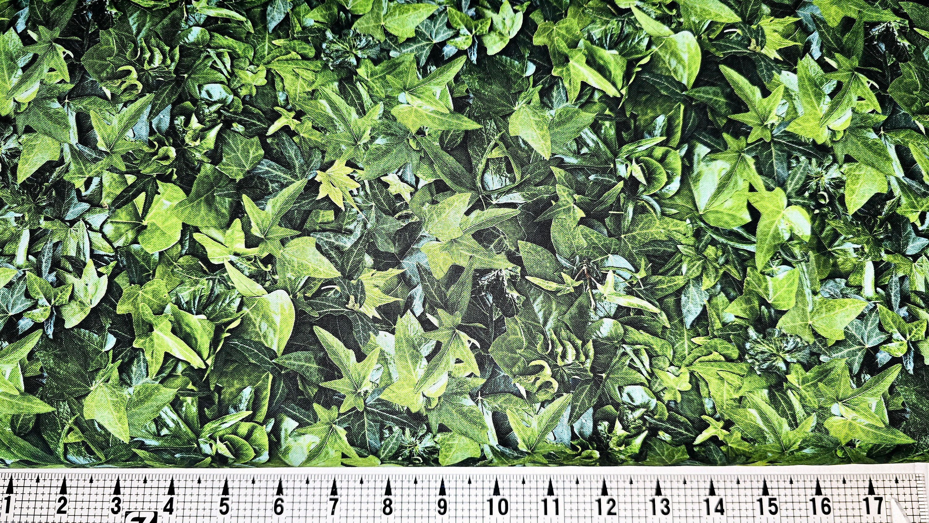 Maywood Studio Christmas Green Evergreen MAS10711 Fabric by the