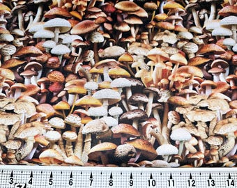 Windham Fabrics Paddenstoelen 54407D-1 Stof op maat gesneden//Stuk