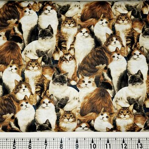 Kołdra Fabri Four Paws Stacked Cats 112-28951 Tkanina cięta na wymiar//Sztuk