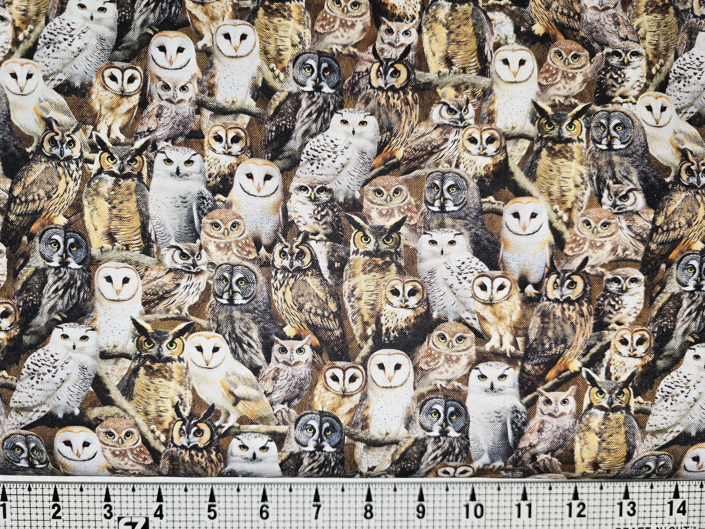 Windham Fabrics Multi Observant Owls 55032D Fabric by the Yard//Piece
