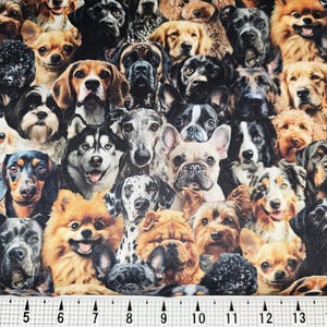 MDG Fabrics Happy Dogs Fabric by the Yard//Piece