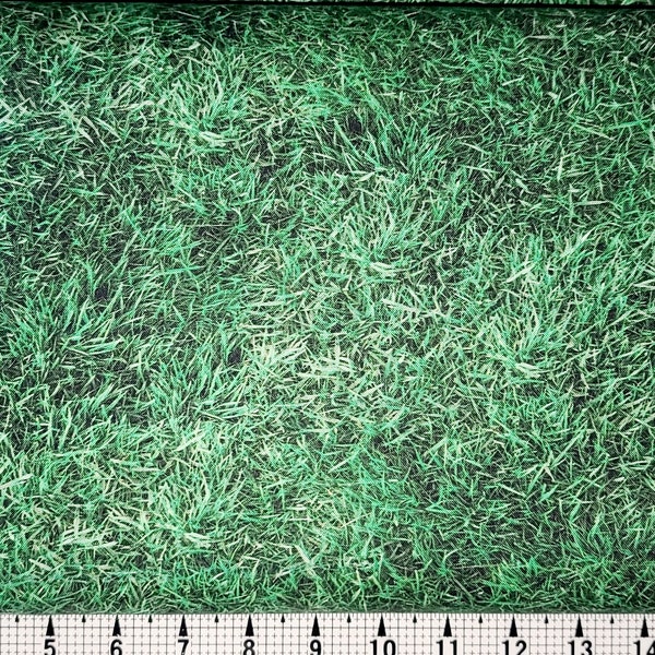 Quilting Treasures Grass 1649-28104-GB Fabric by the Yard/Piece